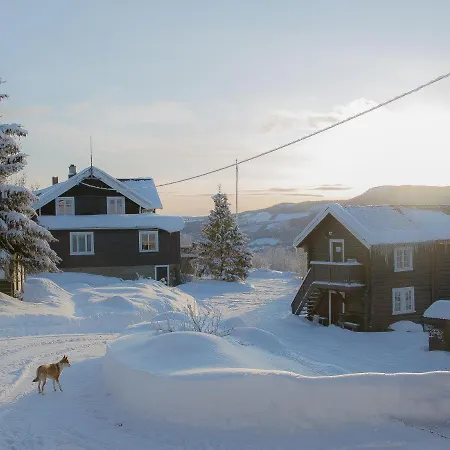 Guest house Eikre Fjellgard *