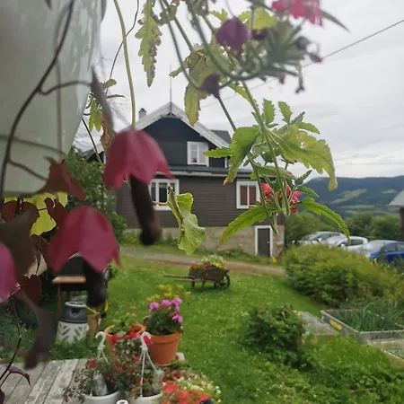 Guest house Eikre Fjellgard