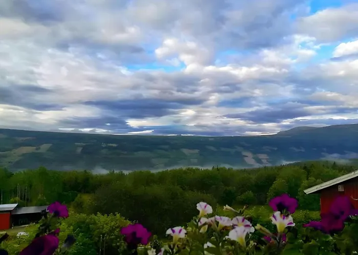 Eikre Fjellgard 게스트하우스 헴세달