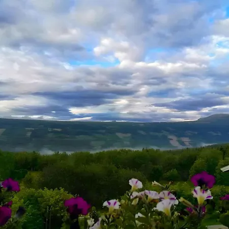 Eikre Fjellgard Penzion Hemsedal